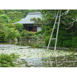 รูปถ่าย ญี่ปุ่น(Japan) 2010-06 62