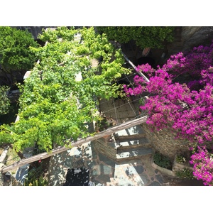 รูปถ่าย ฝรั่งเศส(France) คอร์สิคา(Corsica) นอนซา(Nonza) 2015-05 6