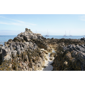 รูปถ่าย ฝรั่งเศส(France) เกาะเอดิก(Hoedic) 2016-08 37