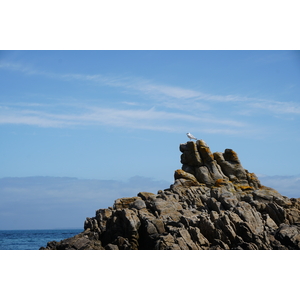 รูปถ่าย ฝรั่งเศส(France) เกาะเอดิก(Hoedic) 2016-08 34