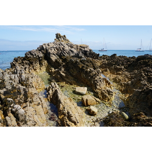 รูปถ่าย ฝรั่งเศส(France) เกาะเอดิก(Hoedic) 2016-08 16
