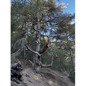 รูปถ่าย ฝรั่งเศส(France) คอร์สิคา(Corsica) ภูเขามอนเตชินโต(Monte Cinto) 2023-10 79