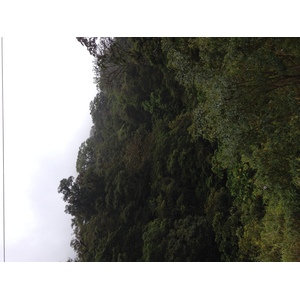 รูปถ่าย ปานามา(Panama) จากดาบิดไปโบกัสเดลโตโร(David to Bocas del toro) 2015-03 99