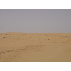 รูปถ่าย สหรัฐอาหรับเอมิเรตส์(United Arab Emirates) จากดูไบไปถนนอัลอิน(Dubai to Al Ain road) 2005-03 57