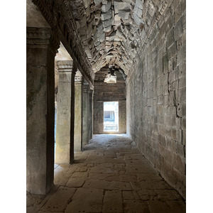 รูปถ่าย กัมพูชา(Cambodia) เสียมราฐ(Siem Reap) ปราสาทตาพรหม(Ta Prohm) 2023-01 112