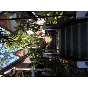 รูปถ่าย ไทย(Thailand) เกาะเสม็ด(Ko Samet) 2016-01 36