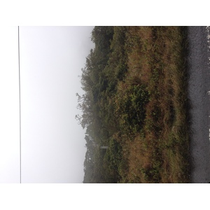 รูปถ่าย ปานามา(Panama) จากดาบิดไปโบกัสเดลโตโร(David to Bocas del toro) 2015-03 9
