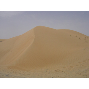 รูปถ่าย สหรัฐอาหรับเอมิเรตส์(United Arab Emirates) จากดูไบไปถนนอัลอิน(Dubai to Al Ain road) 2005-03 33