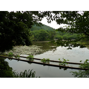 รูปถ่าย ญี่ปุ่น(Japan) เกียวโต(Kyoto) วัดเรียวอันจิ(Ryoanji Temple) 2010-06 72