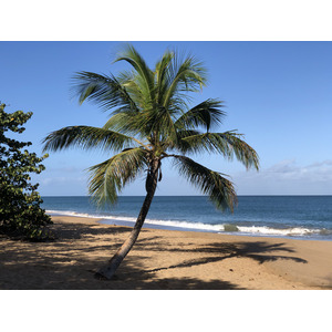 รูปถ่าย กวาเดอลูป(Guadeloupe) หาดลาแปร์ล(La Perle Beach) 2021-02 129