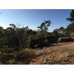 รูปถ่าย ไทย(Thailand) อุทยานแห่งชาติภูหินร่องกล้า(Phu Hin Rong Kla National Park) 2014-12 125