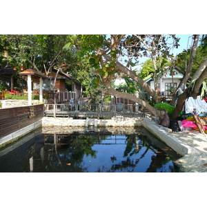 รูปถ่าย ไทย(Thailand) เกาะเสม็ด(Ko Samet) 2009-01 28
