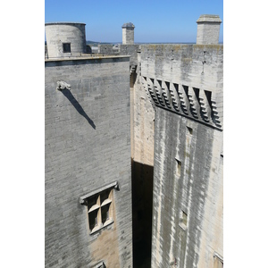 รูปถ่าย ฝรั่งเศส(France) ตาราสกง(Tarascon) ปราสาทตาราสกง(Tarascon Castle) 2008-04 120