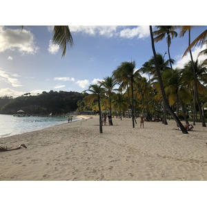 รูปถ่าย กวาเดอลูป(Guadeloupe) หาดลาการาแวล(La Caravelle Beach) 2021-02 97