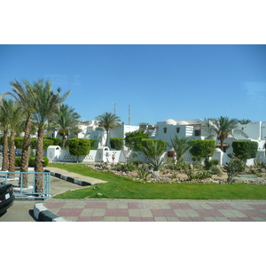 รูปถ่าย อียิปต์(Egypt) ชาร์มเอลชีค(Sharm el Sheikh) 2008-06 28