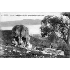 รูปถ่าย ฝรั่งเศส(France) คอร์สิคา(Corsica) โปสการ์ดเก่า(Old Postcards) 1900-01 336