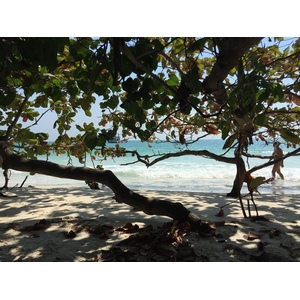 รูปถ่าย ไทย(Thailand) เกาะเสม็ด(Ko Samet) 2016-01 83