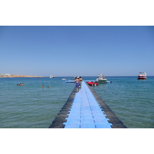รูปถ่าย อียิปต์(Egypt) ชาร์มเอลชีค(Sharm el Sheikh) 2008-06 96
