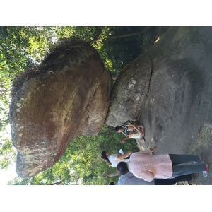 รูปถ่าย ไทย(Thailand) อุทยานแห่งชาติภูหินร่องกล้า(Phu Hin Rong Kla National Park) 2014-12 185