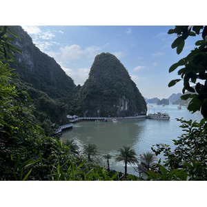 รูปถ่าย เวียดนาม(Vietnam) อ่าวฮาลอง(Ha Long Bay) 2024-01 31