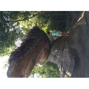 รูปถ่าย ไทย(Thailand) อุทยานแห่งชาติภูหินร่องกล้า(Phu Hin Rong Kla National Park) 2014-12 255