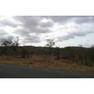 รูปถ่าย แอฟริกาใต้(South Africa) อุทยานแห่งชาติครูเกอร์(Kruger National Park) 2008-09 87