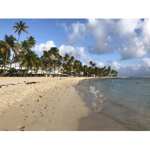 รูปถ่าย กวาเดอลูป(Guadeloupe) หาดลาการาแวล(La Caravelle Beach) 2021-02 122