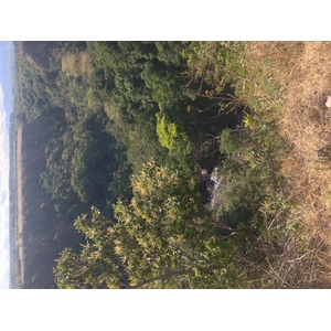 รูปถ่าย ปานามา(Panama) โบเกเต(Boquete) 2015-03 142