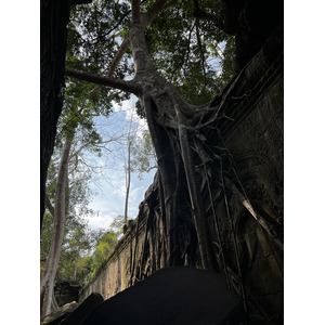 รูปถ่าย กัมพูชา(Cambodia) เสียมราฐ(Siem Reap) ปราสาทตาพรหม(Ta Prohm) 2023-01 4