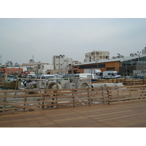 รูปถ่าย อิสราเอล(Israel) เทลอาวีฟ(Tel Aviv) ชายหาดเทลอาวีฟ(Tel Aviv Sea Shore) 2006-12 233