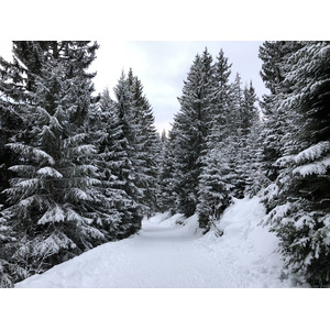 รูปถ่าย ฝรั่งเศส(France) ลากลูซา(La Clusaz) 2017-12 286