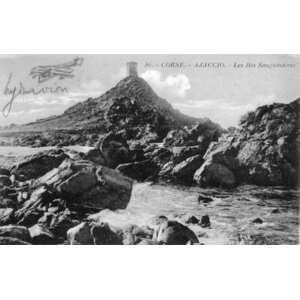 รูปถ่าย ฝรั่งเศส(France) คอร์สิคา(Corsica) โปสการ์ดเก่า(Old Postcards) 1900-01 335