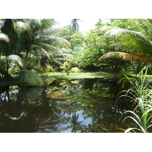 รูปถ่าย เซเชลส์(Seychelles) เกาะกร็องด์เซอร์(Grande Soeur) 2011-10 20