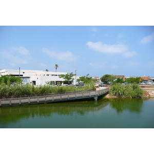 รูปถ่าย อิสราเอล(Israel) เทลอาวีฟ(Tel Aviv) ถนนโรกัค(Rokach Street) 2007-06 28