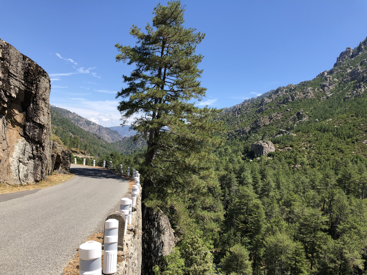 รูปถ่าย ฝรั่งเศส(France) คอร์สิคา(Corsica) หุบเขาลาเรสโตนีกา(La Restonica) 2020-07 60