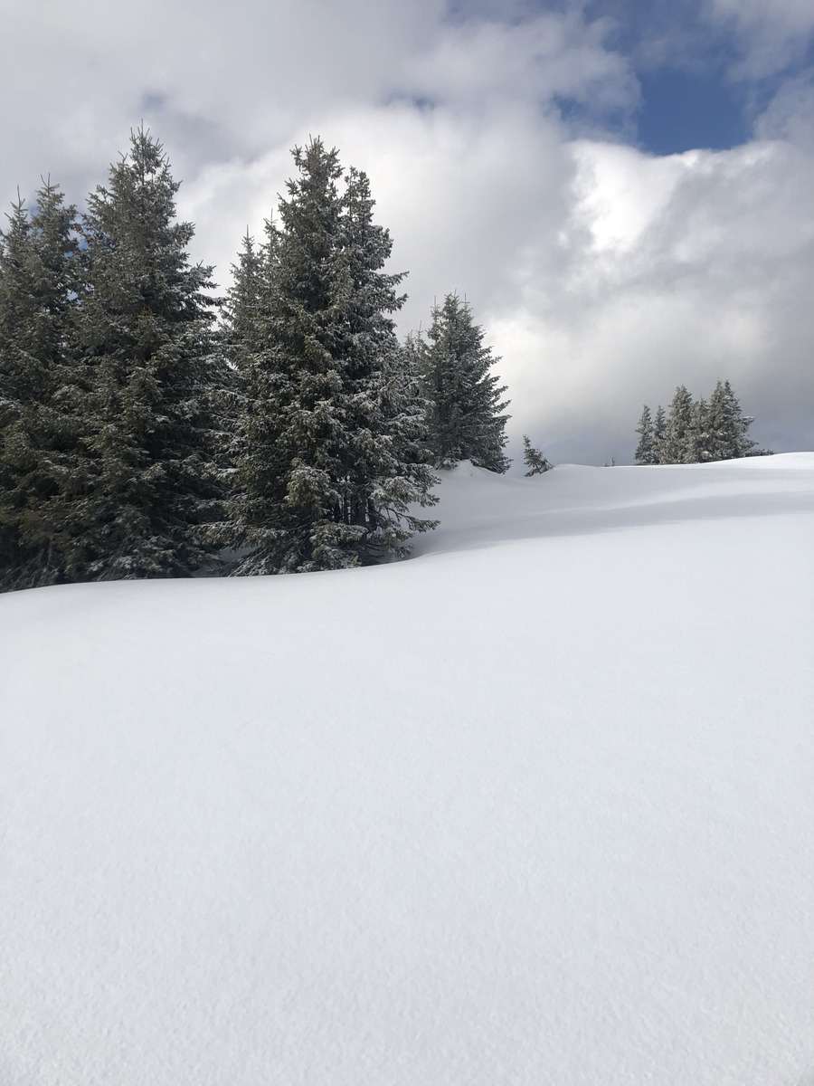 รูปถ่าย ฝรั่งเศส(France) เมแฌฟว์(Megeve) 2019-03 96