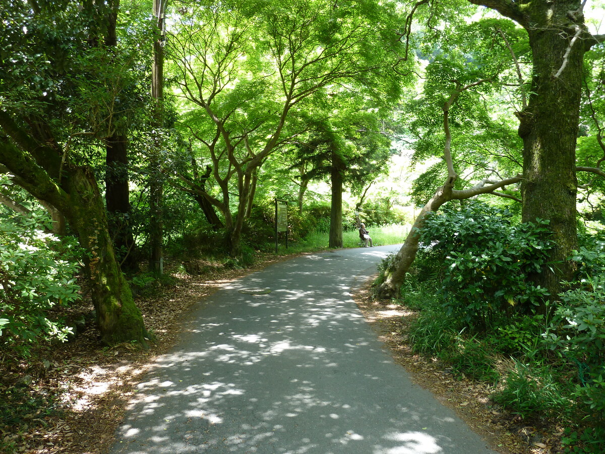 รูปถ่าย ญี่ปุ่น(Japan) เกียวโต(Kyoto) สถานียาเซะฮิเอซังงุจิ(Yase Hieizanguchi Station) 2010-06 26