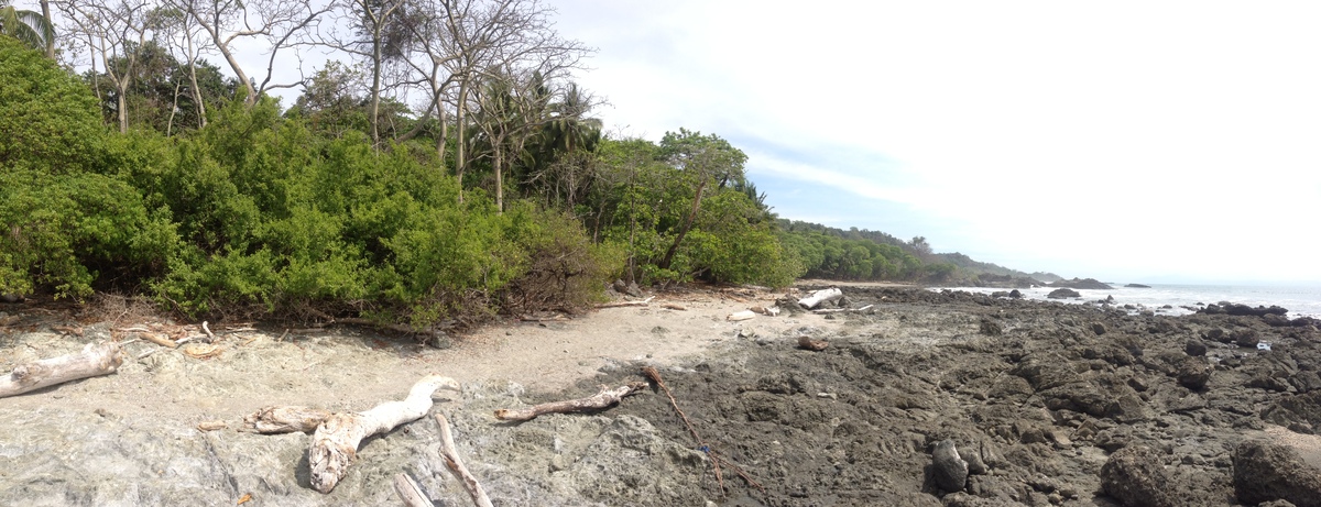 รูปถ่าย คอสตาริกา(Costa Rica) มอนเตซูมา(Montezuma) 2015-03 469