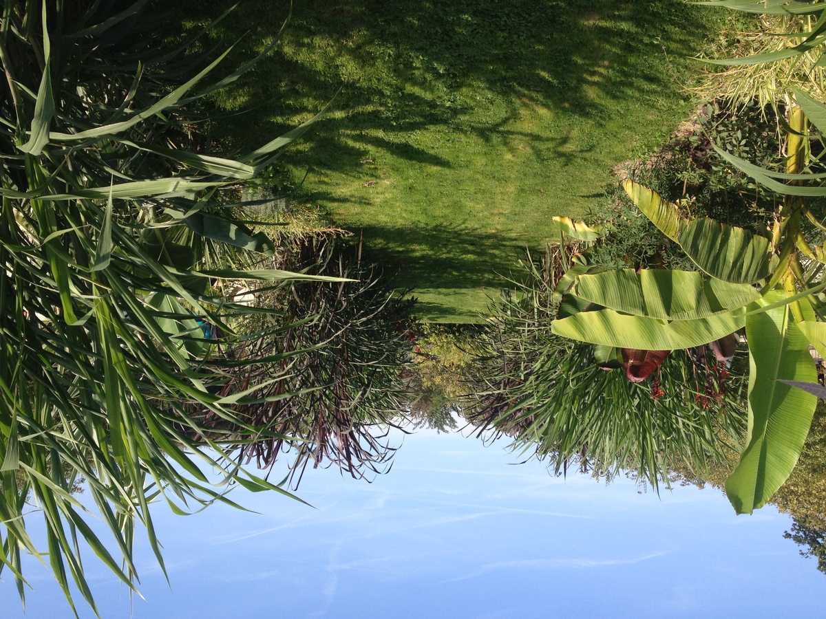 รูปถ่าย ฝรั่งเศส(France) ปารีส(Paris) สวนพันธ์ุพืช(Jardin des Plantes) 2014-09 26