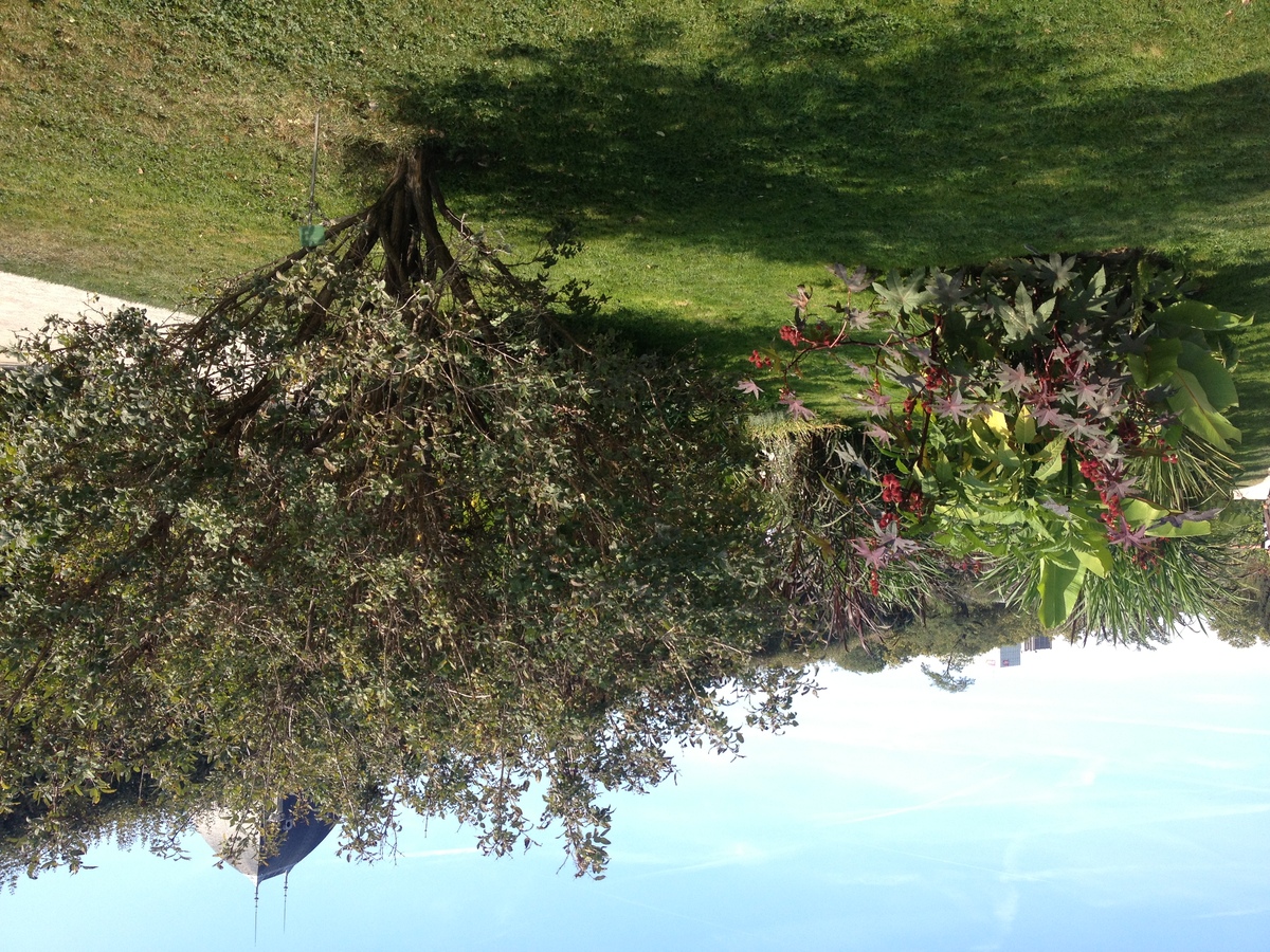 รูปถ่าย ฝรั่งเศส(France) ปารีส(Paris) สวนพันธ์ุพืช(Jardin des Plantes) 2014-09 21