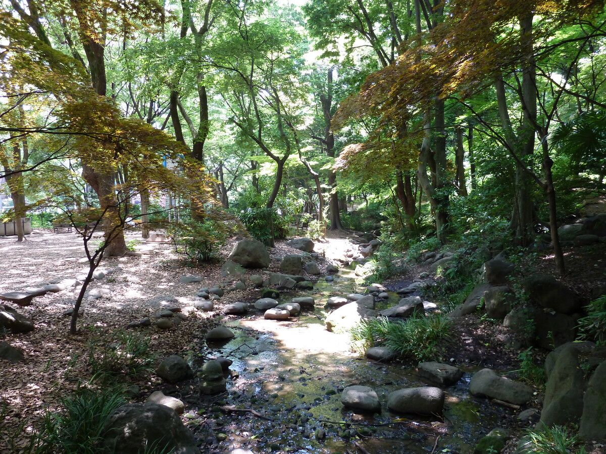 รูปถ่าย ญี่ปุ่น(Japan) โตเกียว(Tokyo) สวนชิบะ(Shiba Park) 2010-06 67