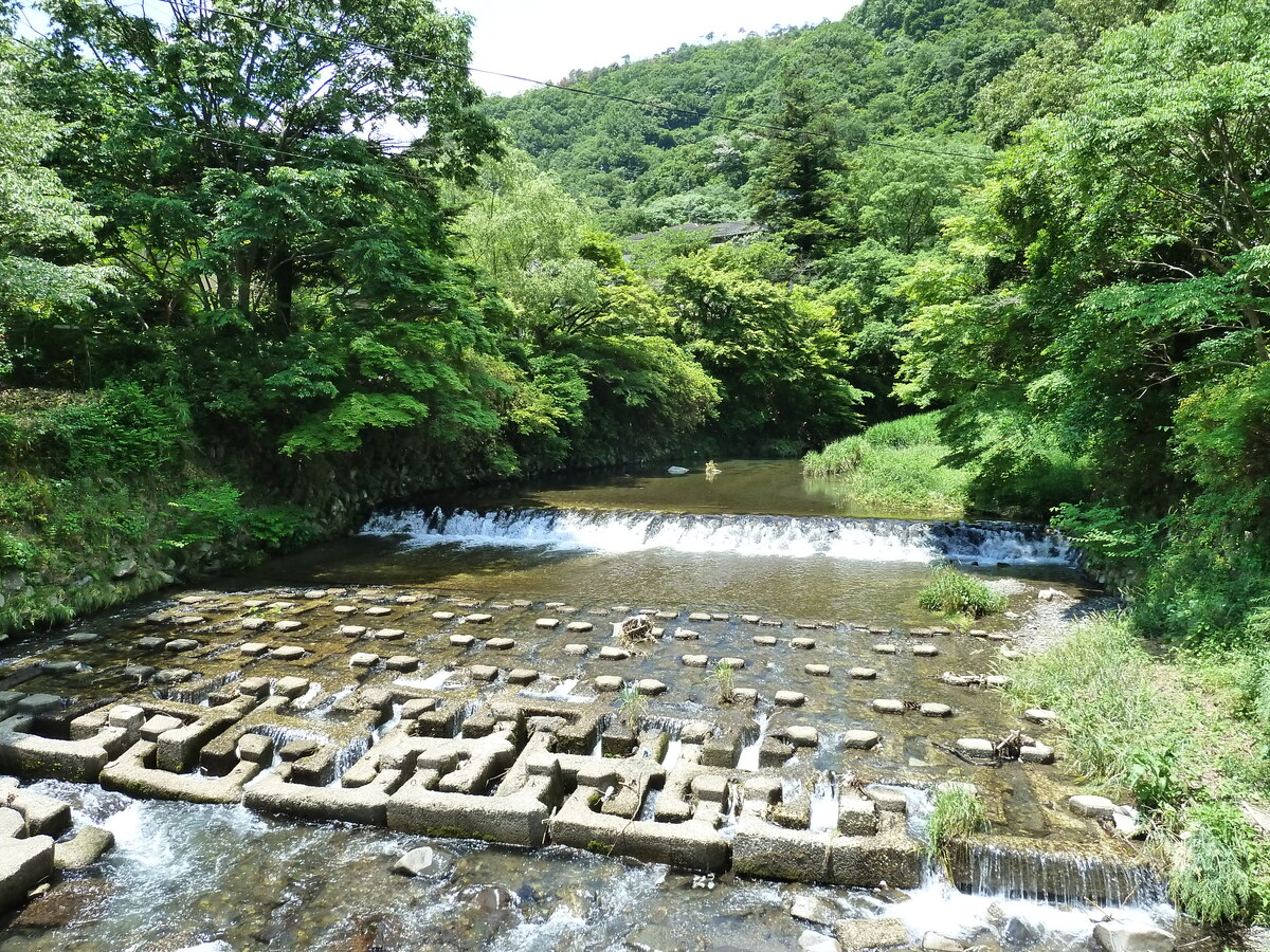รูปถ่าย ญี่ปุ่น(Japan) เกียวโต(Kyoto) สถานียาเซะฮิเอซังงุจิ(Yase Hieizanguchi Station) 2010-06 22