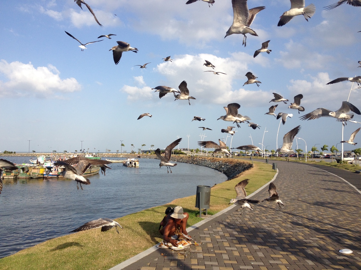 รูปถ่าย ปานามา(Panama) ปานามาซิตี(Panama City) 2015-03 30