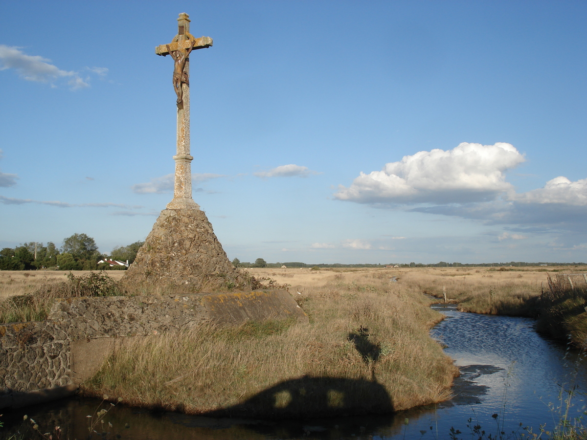 รูปถ่าย ฝรั่งเศส(France) นีวร์มูทีเย(Noirmoutier) 2006-08 43