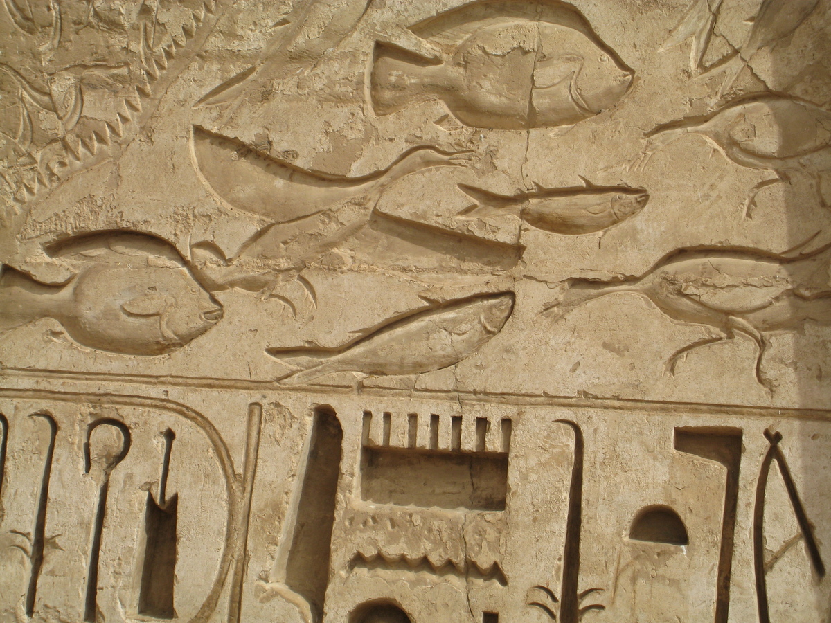 รูปถ่าย อียิปต์(Egypt) ลูซอร์(Luxor) 2007-04 18