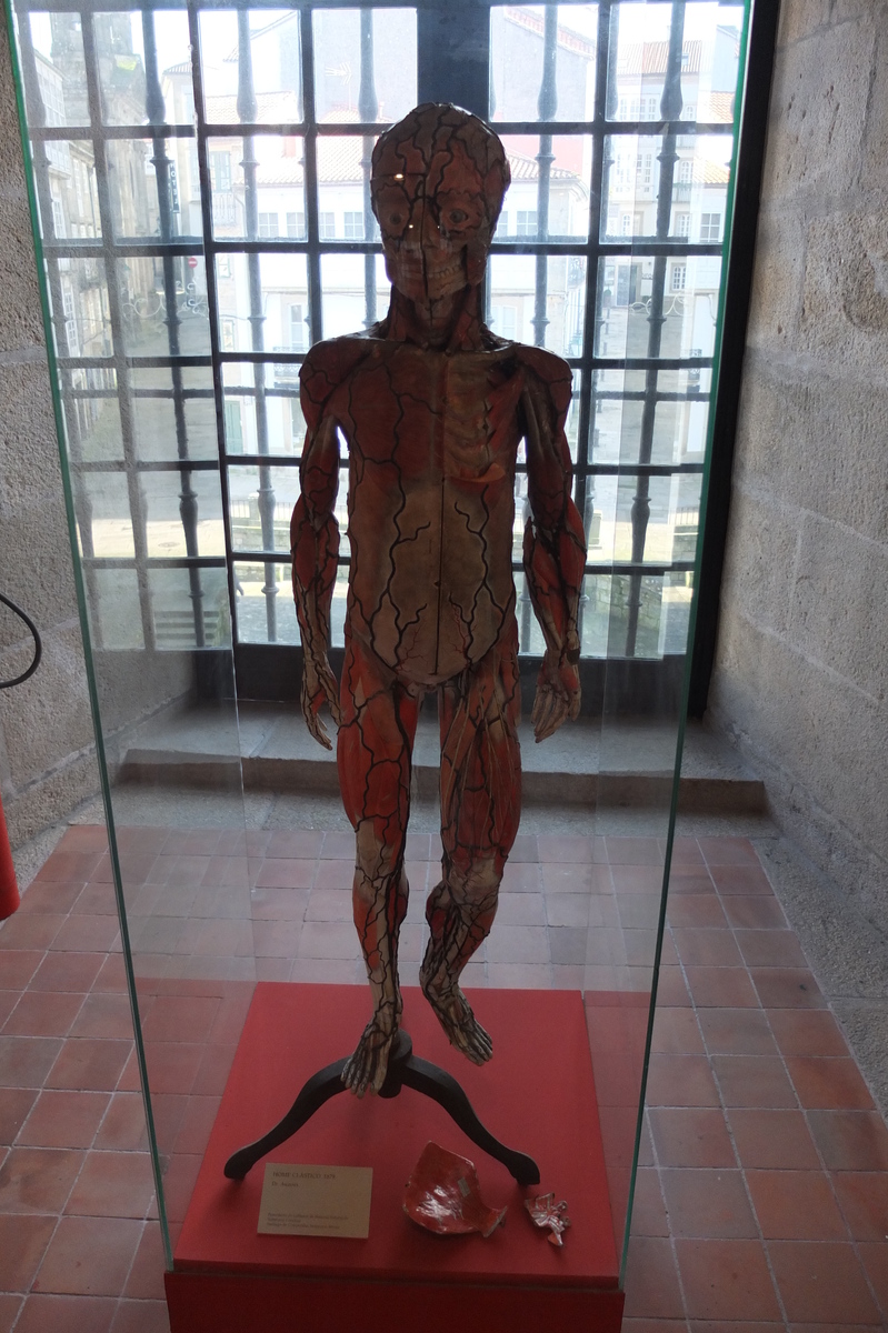 รูปถ่าย สเปน(Spain) ซานเตียโกเดกอมโปสเตลา(Santiago de Compostela) 2013-01 41