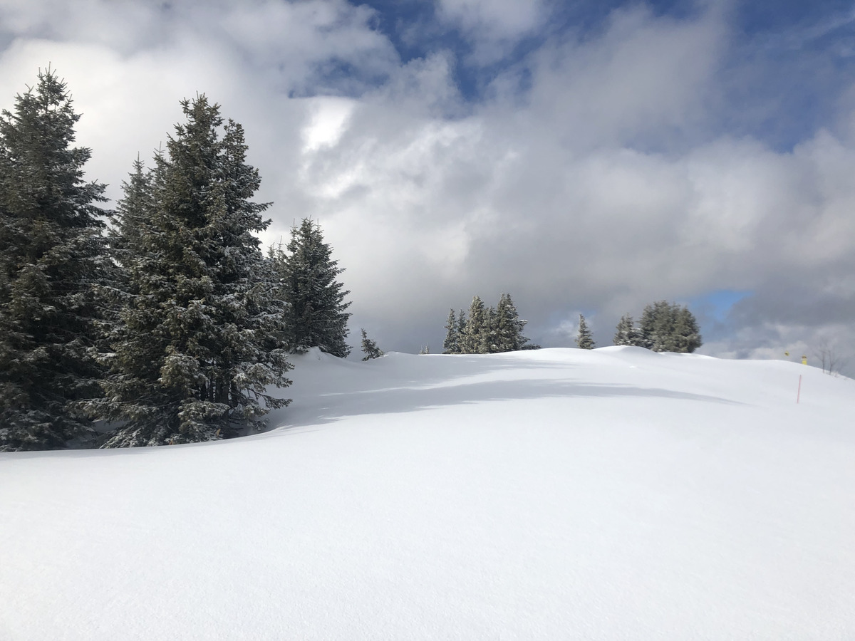 รูปถ่าย ฝรั่งเศส(France) เมแฌฟว์(Megeve) 2019-03 67