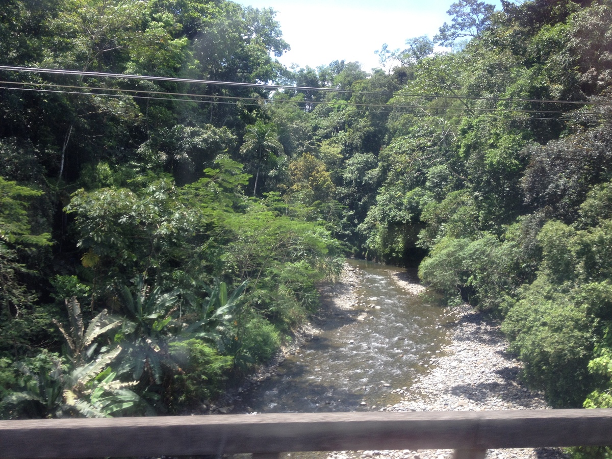 รูปถ่าย คอสตาริกา(Costa Rica) จากลีมอนไปซีกีร์เรส(Limon to Siquirres) 2015-03 39