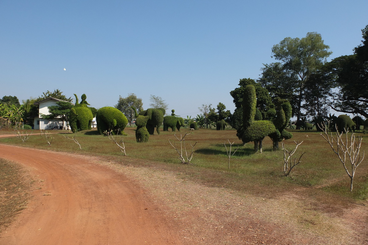 รูปถ่าย ไทย(Thailand) แม่น้ำโขง(Mekong river) 2012-12 171