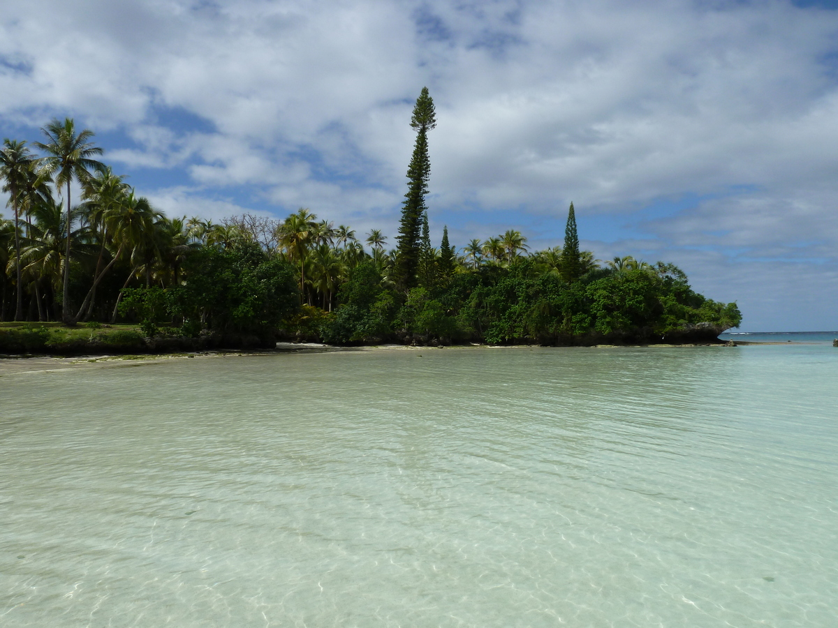 รูปถ่าย นิวแคลิโดเนีย(New Caledonia) เกาะลีฟู(Lifou) อ่าวเต่า(Baie des tortues) 2010-05 10